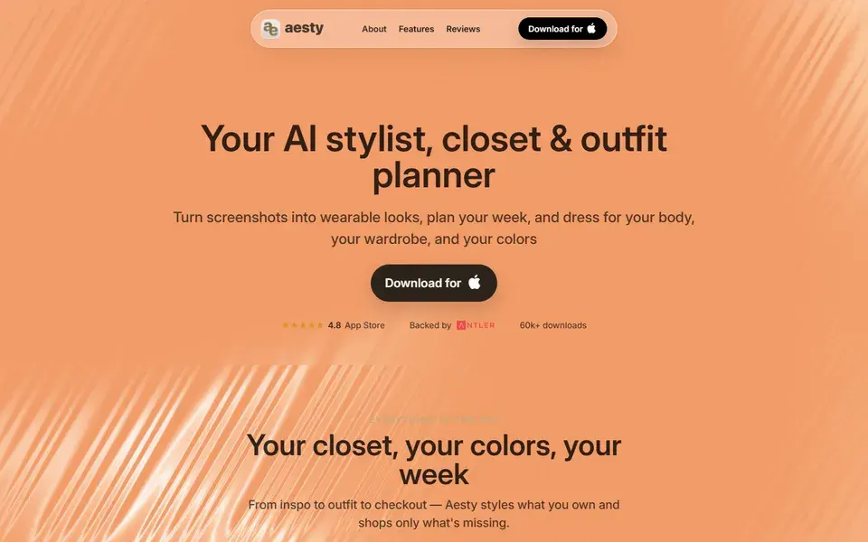 Aesty website preview